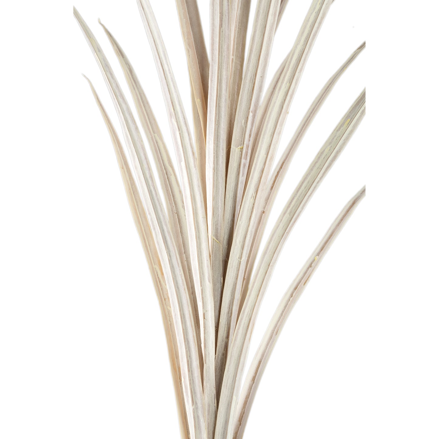 Leaves Plant Crème Yucca Spray Set van 6 Stuks - 6 Sets 121x76x70 cm