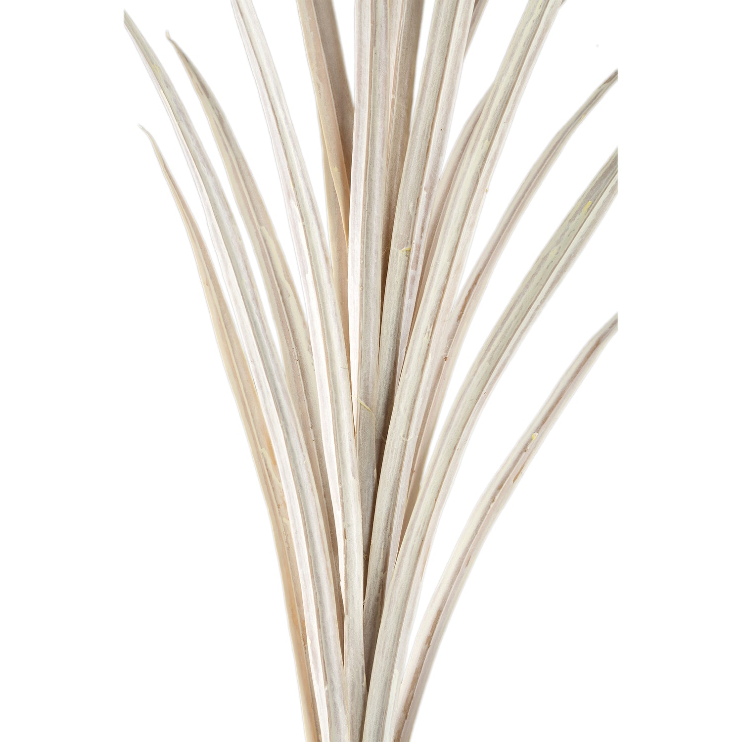 Leaves Plant Crème Yucca Spray Set van 6 Stuks - 6 Sets 121x76x70 cm
