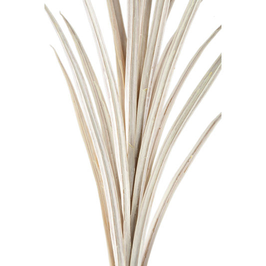 Leaves Plant Crème Yucca Spray Set van 6 Stuks - 6 Sets 121x76x70 cm