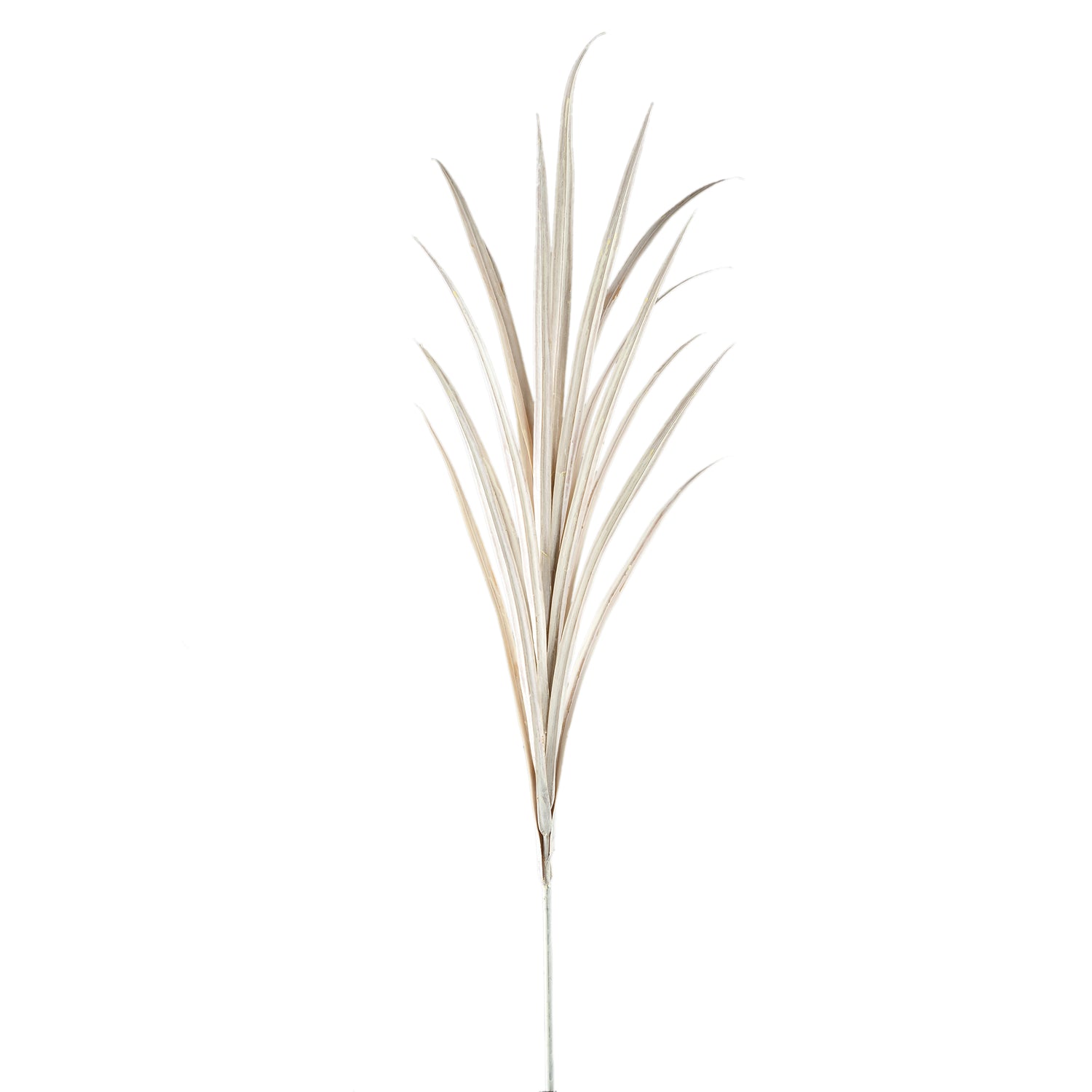 Leaves Plant Crème Yucca Spray Set van 6 Stuks - 6 Sets 121x76x70 cm