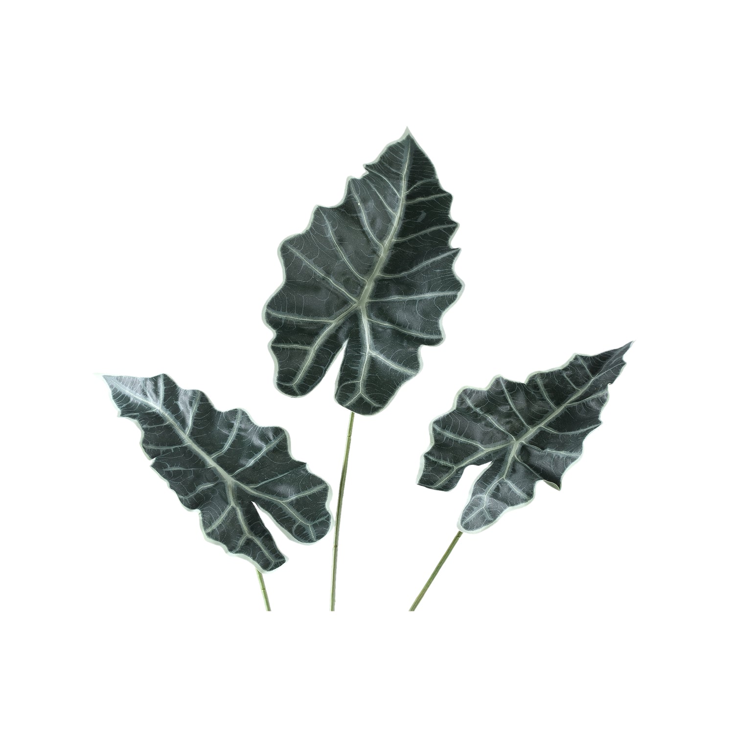 Leaves Plant Groene Alocasia Bladeren Spray - Set van 12 111x53x52 cm