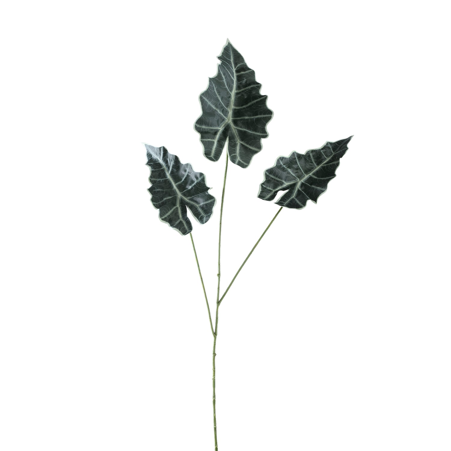 Leaves Plant Groene Alocasia Bladeren Spray - Set van 12 111x53x52 cm