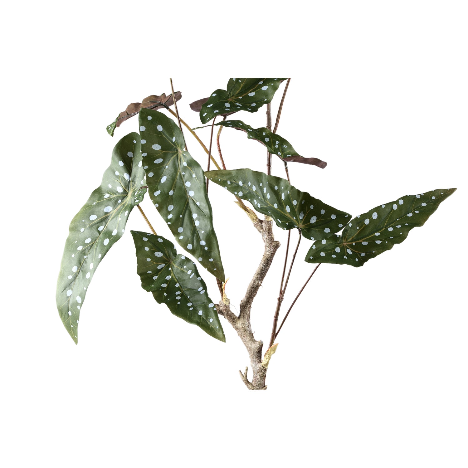 Leaves Plant Groen Begonia Bladeren Struik Set van 6 Stuks - 6 Sets 94x70x60 cm