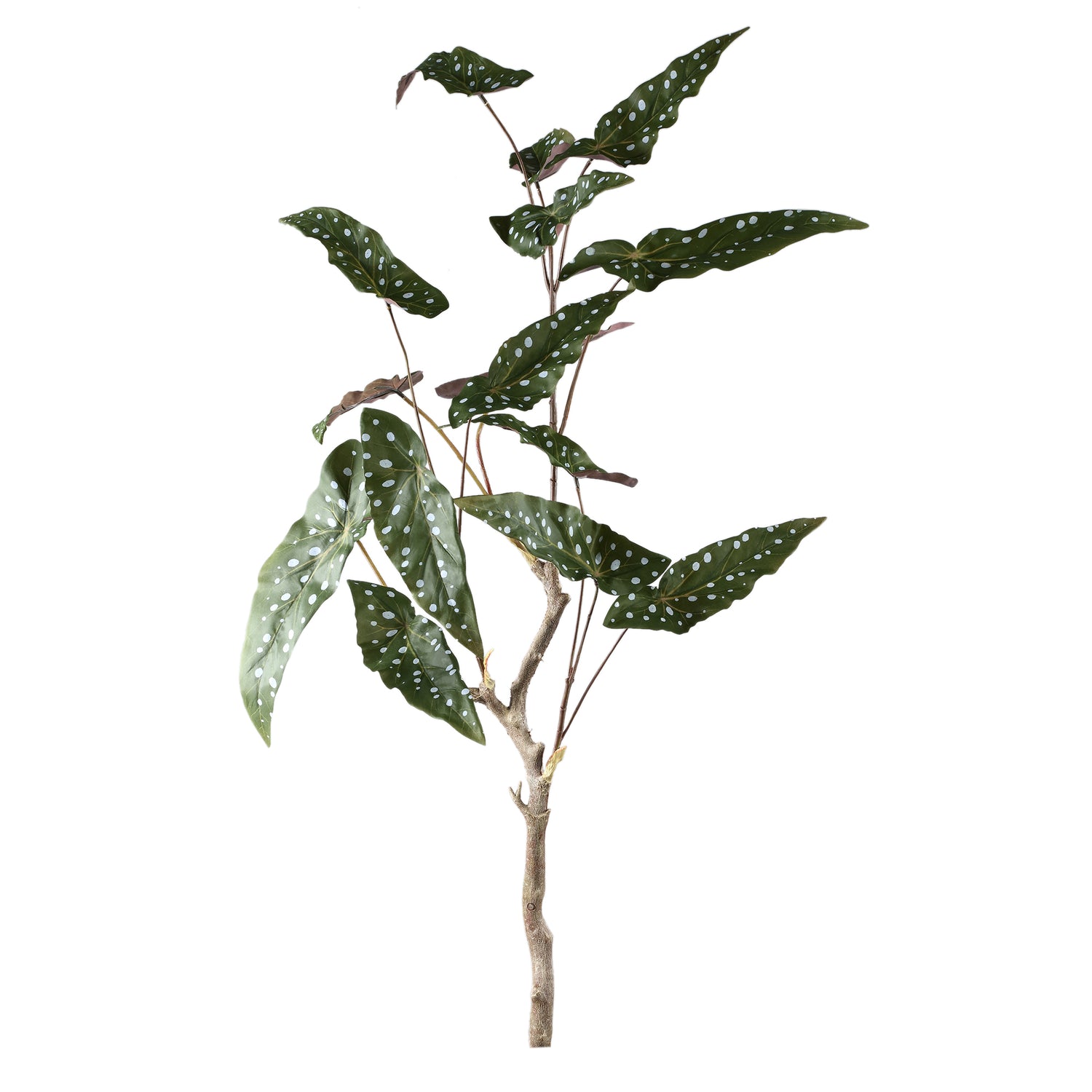 Leaves Plant Groen Begonia Bladeren Struik Set van 6 Stuks - 6 Sets 94x70x60 cm