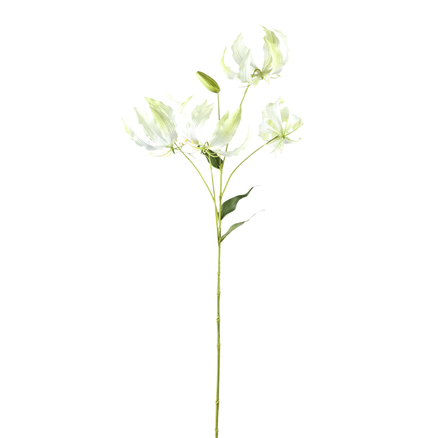 Garden Flower Crème Gloriosa Spray Met Bladeren - Set van 12 94x40x36 cm