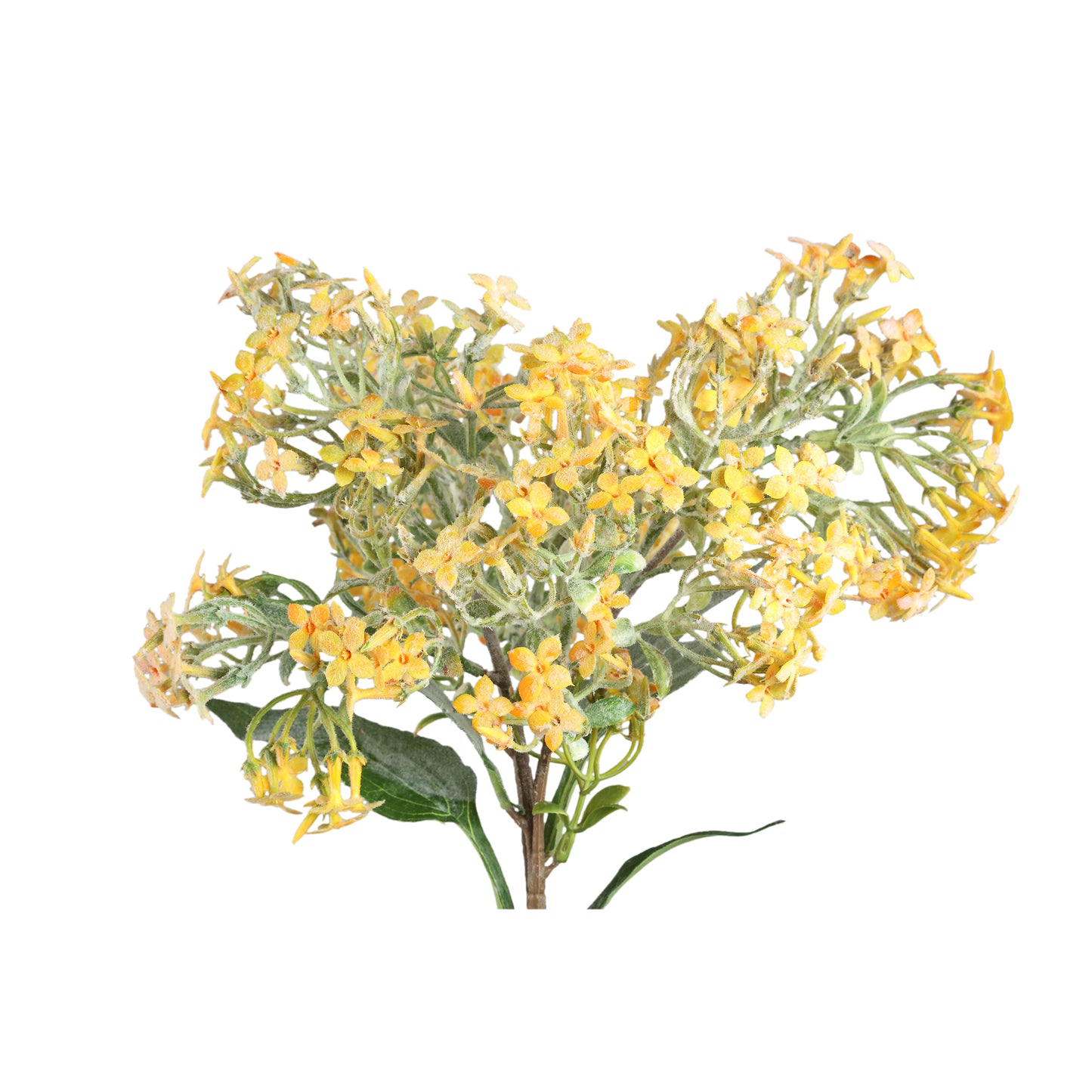 Dried Twig Gele Kleine Bloem Spray Met Bladeren - Set van 12 50x28x15 cm
