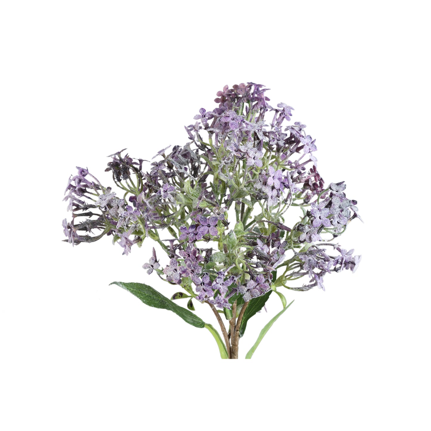 Dried Twig Paarse Kleine Bloem Spray Met Bladeren - Set van 12 50x28x15 cm