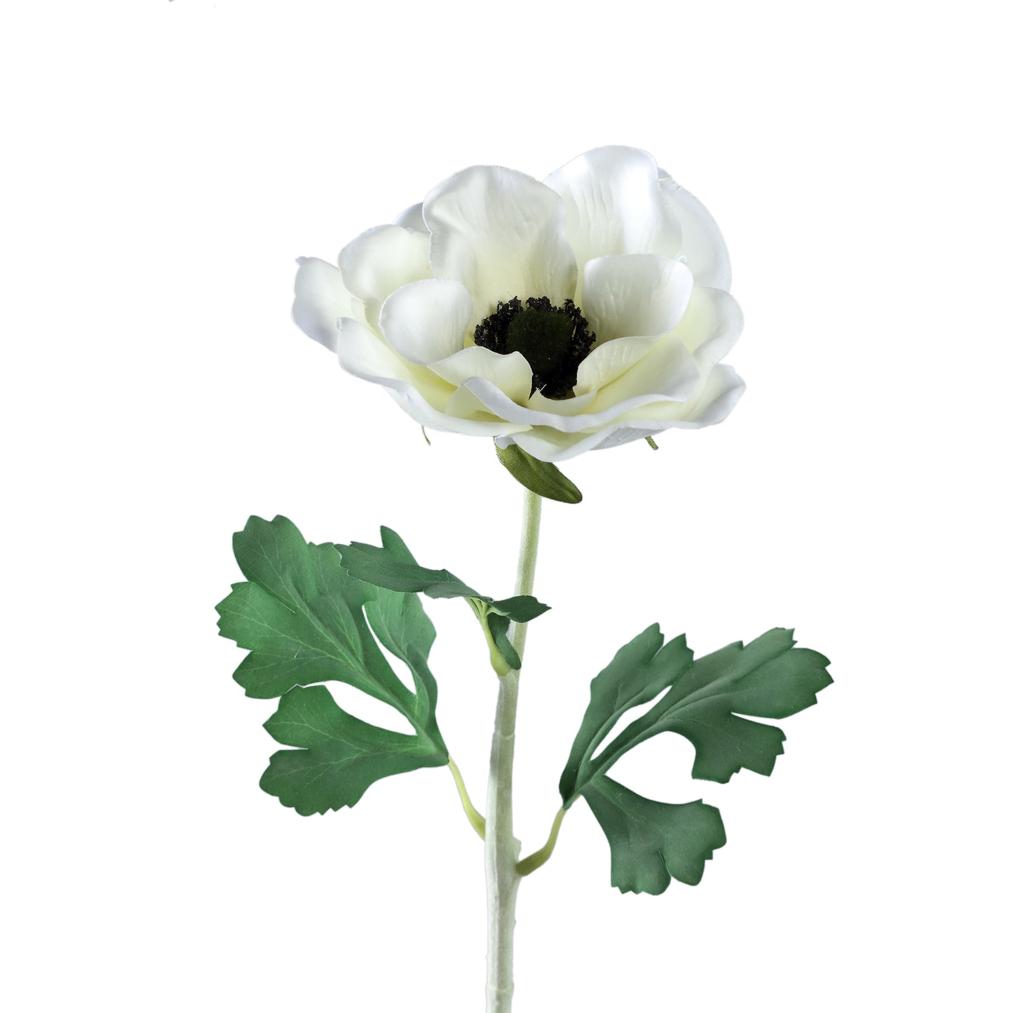 Garden Flower Witte Anemoon Spray - Set van 12 51x22x17 cm