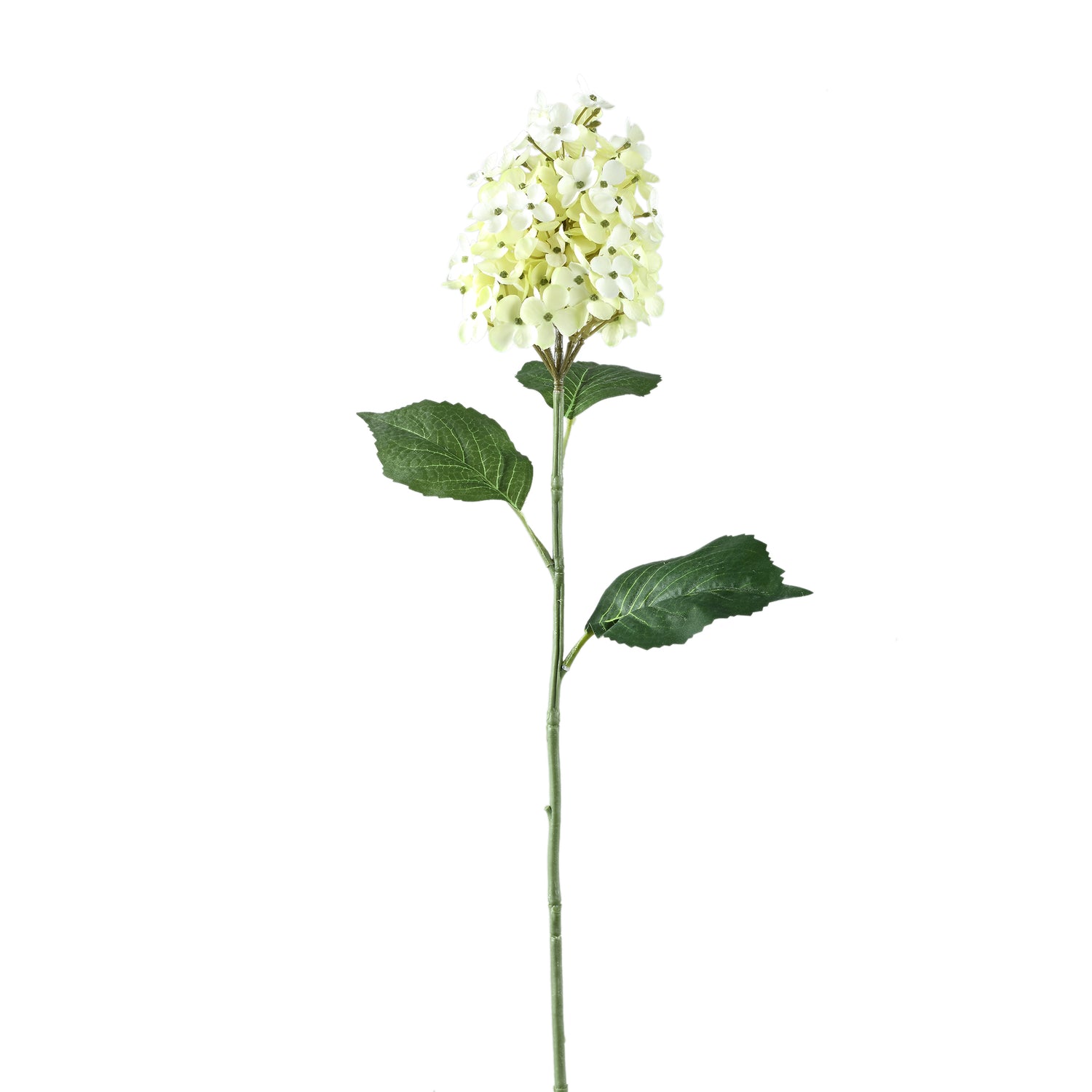 Hydrangea Bloem Groene Hortensia Tak - Set van 12 68x30x26 cm
