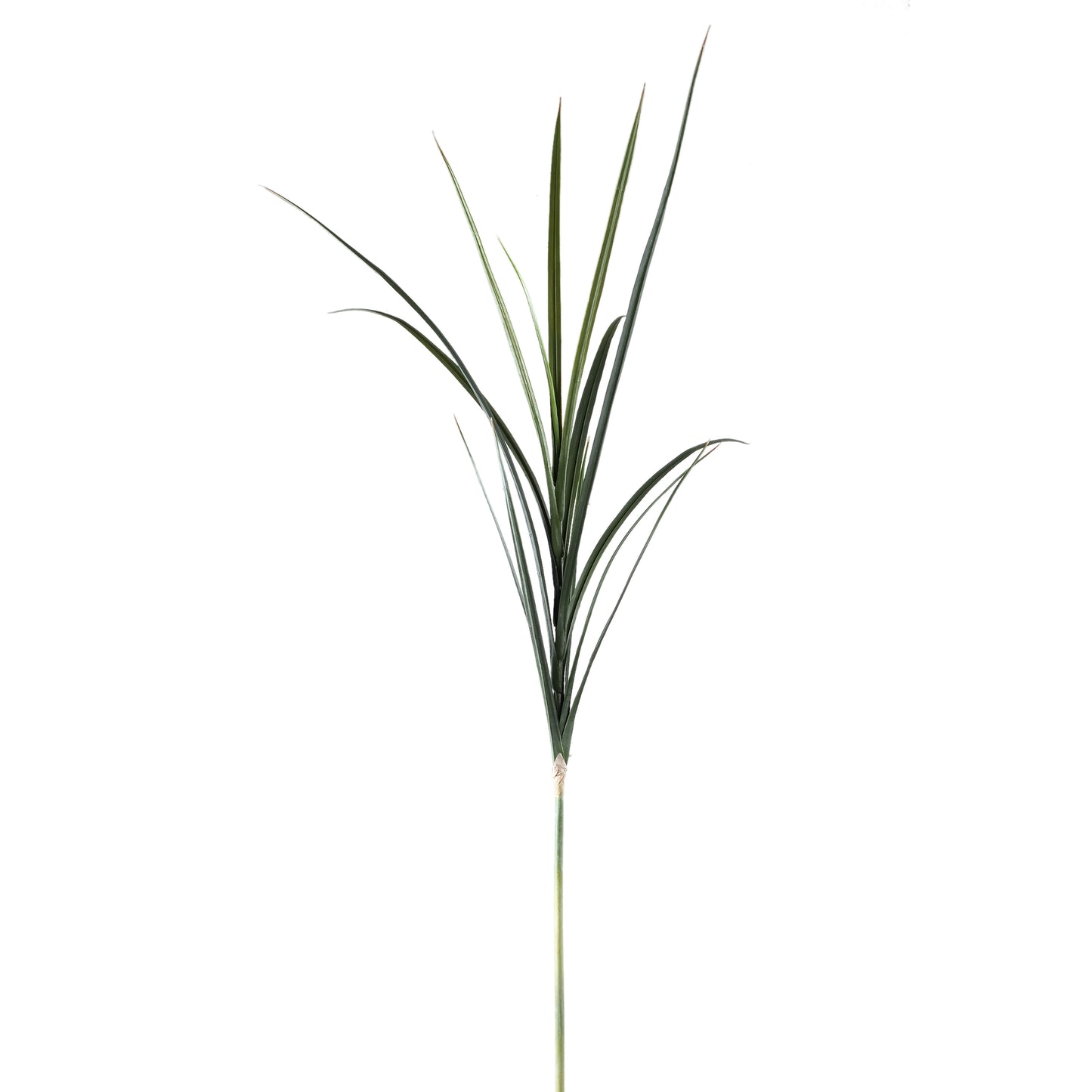 Leaves Plant Groen Gras Spray - Set van 12 112x68x50 cm