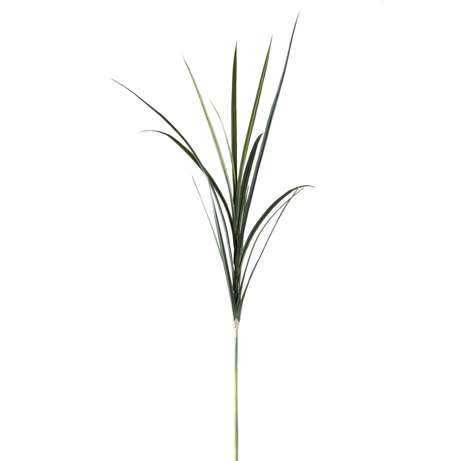Leaves Plant Groen Gras Spray - Set van 12 112x68x50 cm