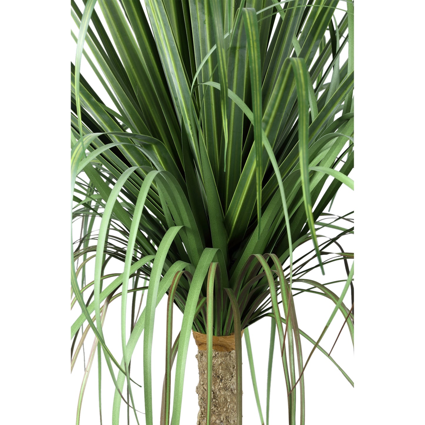 Leaves Plant Groen Ui Gras Op Kokospalm Set Van 2 Stuks - 2 Sets 98x60x75 cm