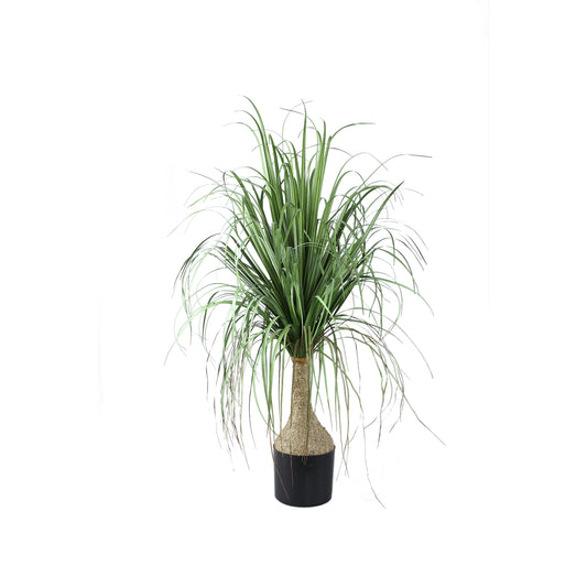 Leaves Plant Groen Ui Gras Op Kokospalm Set Van 2 Stuks - 2 Sets 98x60x75 cm