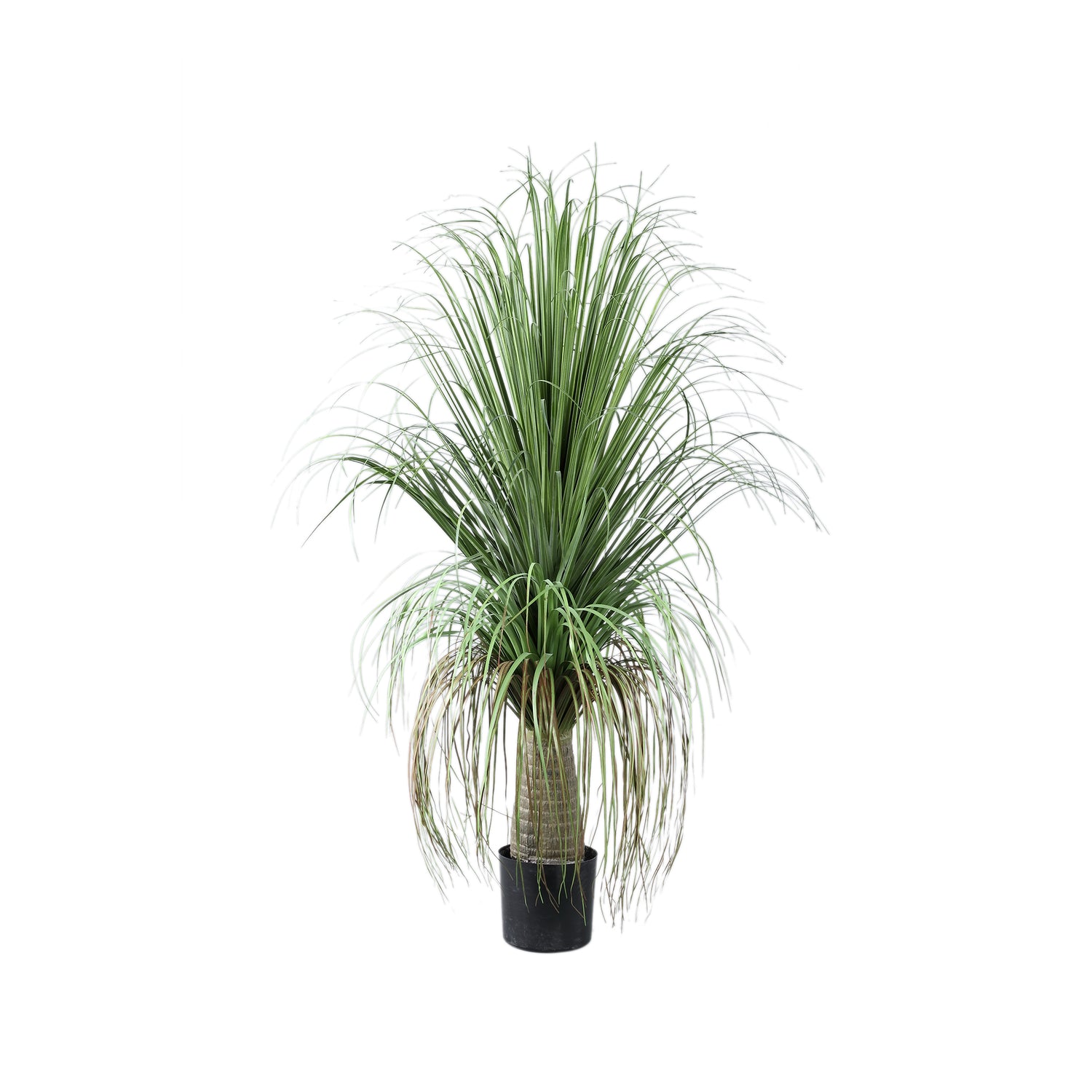 Leaves Plant Groen Ui Gras Op Kokospalm Set Van 2 - 2 Sets 101x74x70 cm