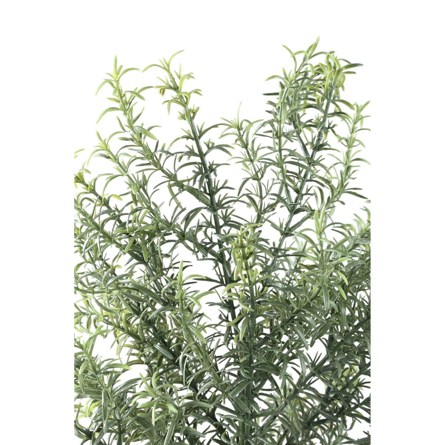 Leaves Plant Groen Rozemarijn Struik - Set van 12 51x33x26 cm