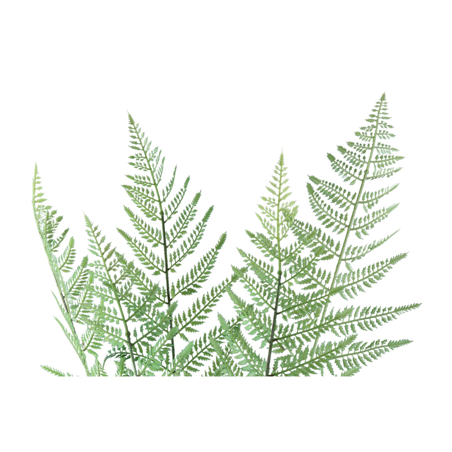 Fern Plant Groene Varenbos Lang - Set van 6 Stuks - 6 Sets 96.5x81x53 cm