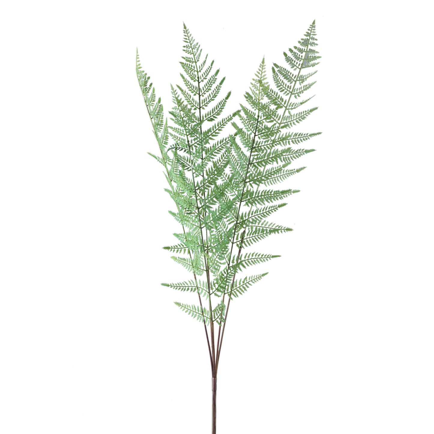 Fern Plant Groene Varenbos Lang - Set van 6 Stuks - 6 Sets 96.5x81x53 cm