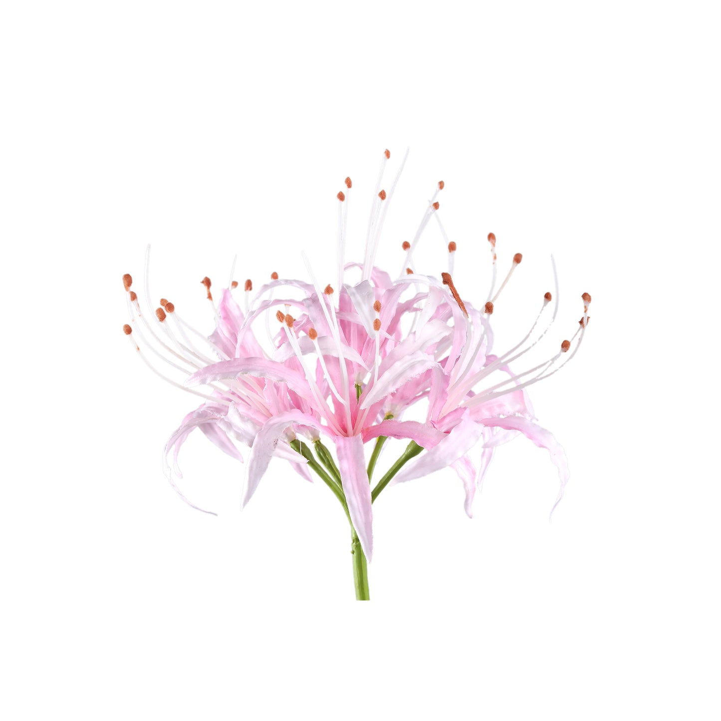 Lily Flower Roze Spinnelelie - Set van 12 91x16x20 cm