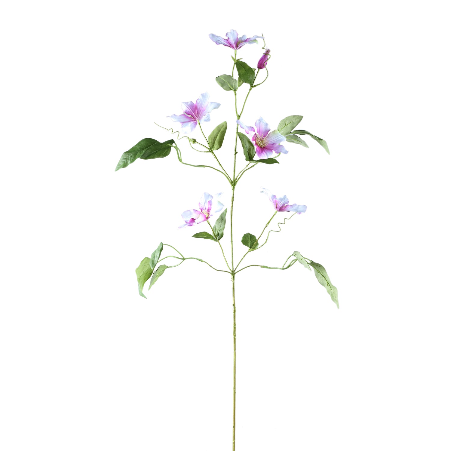 Garden Flower Roze Clematis Spray - Set van 6 108x50x42 cm