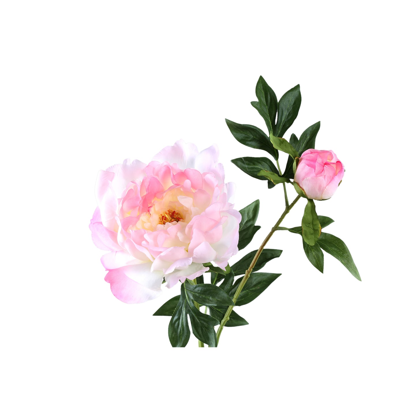 Pioenrozen Bloem Roze Pioenroos Met Knop - Set van 12 65x33x30 cm