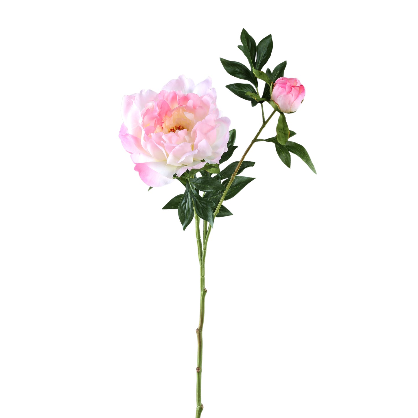 Pioenrozen Bloem Roze Pioenroos Met Knop - Set van 12 65x33x30 cm