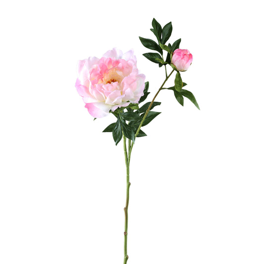 Pioenrozen Bloem Roze Pioenroos Met Knop - Set van 12 65x33x30 cm