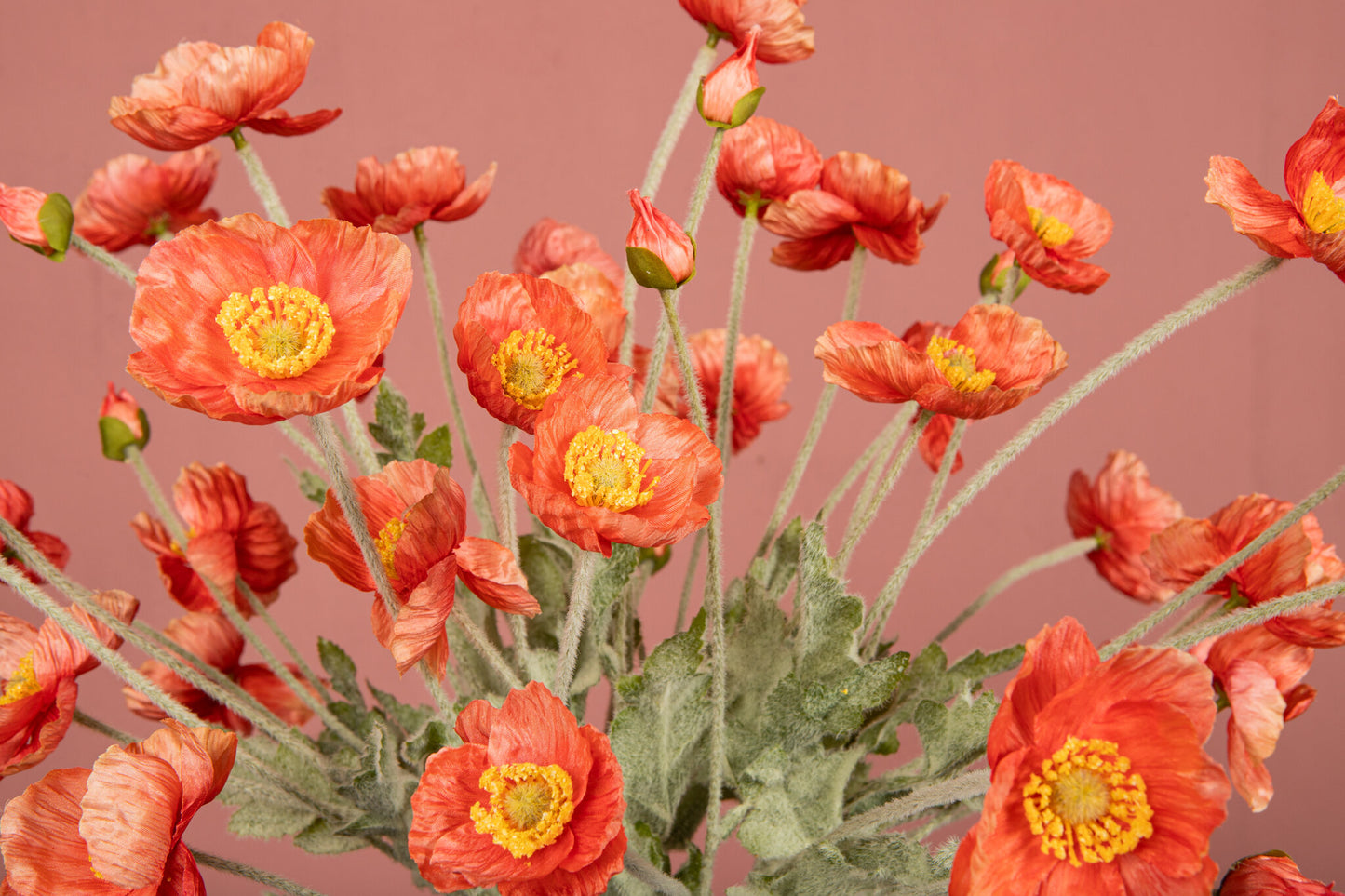 Poppy Flower Zalm-Oranje Poppy Spray Set van 12 Stuks 60x30x14 cm