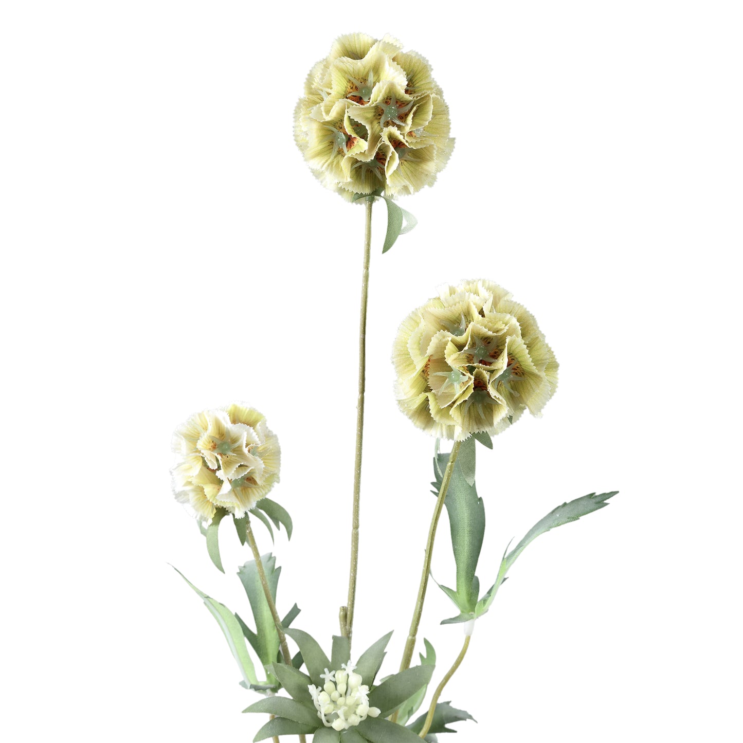 Garden Flower Groene Scabiosa Spray - Set van 12 74x41x24 cm
