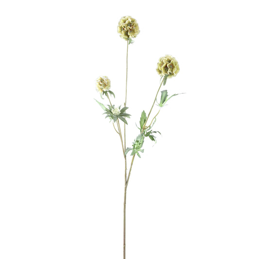 Garden Flower Groene Scabiosa Spray - Set van 12 74x41x24 cm