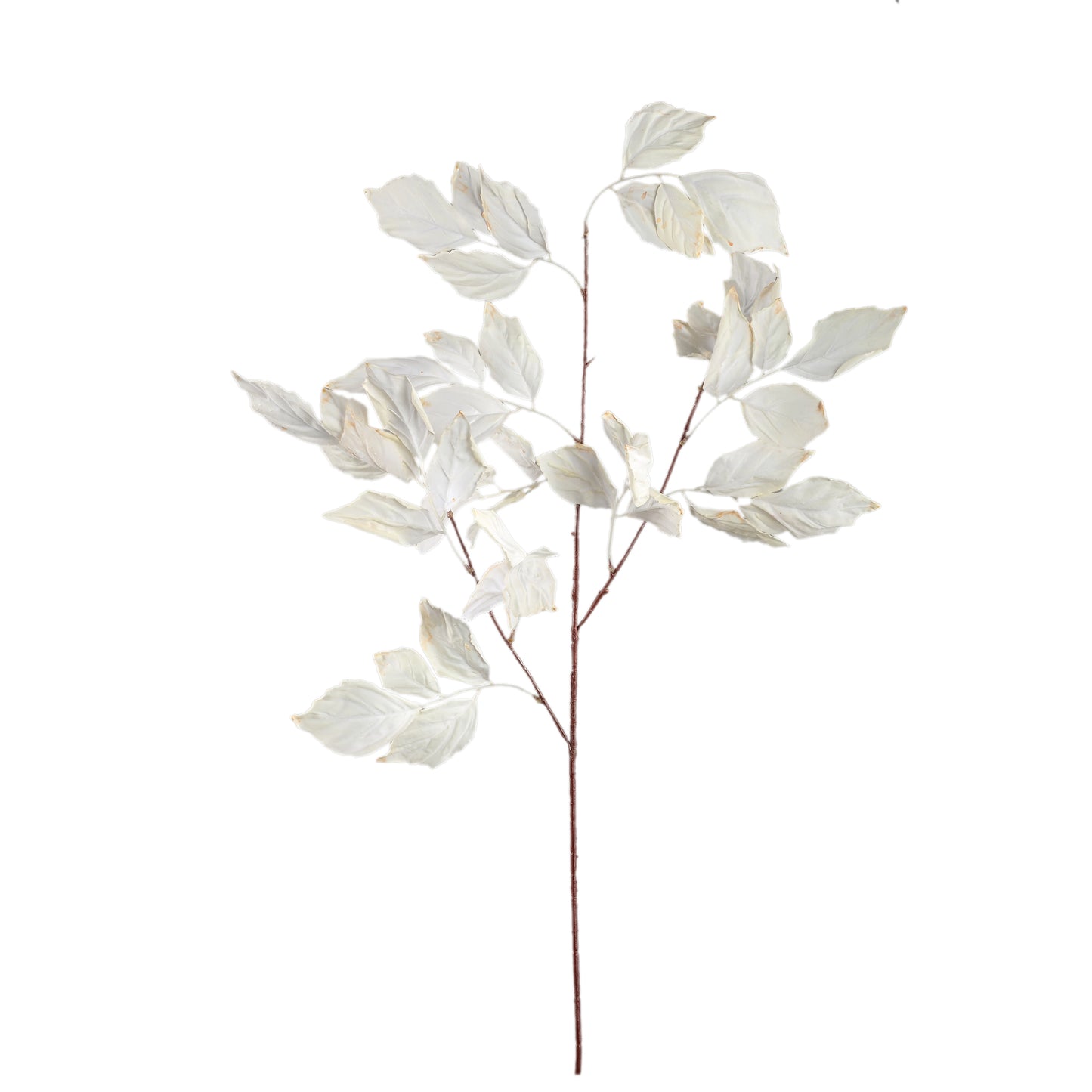 Leaves Plant Crème Bladeren Spray - Set van 12 105x65x40 cm