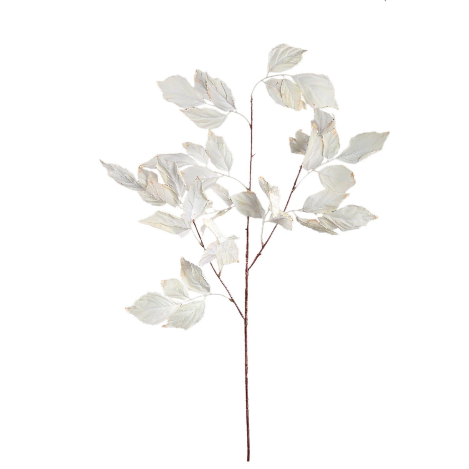 Leaves Plant Crème Bladeren Spray - Set van 12 105x65x40 cm