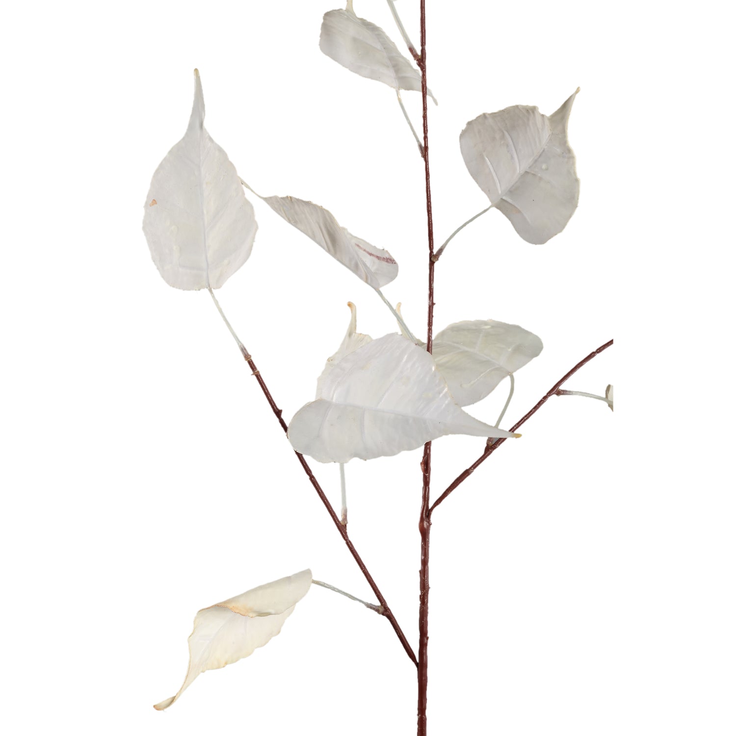 Leaves Plant Crème Populierblad Spray - Set van 12 95x60x50 cm
