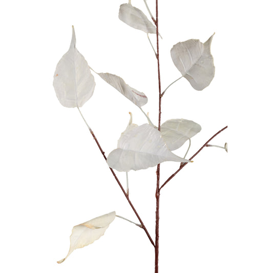 Leaves Plant Crème Populierblad Spray - Set van 12 95x60x50 cm