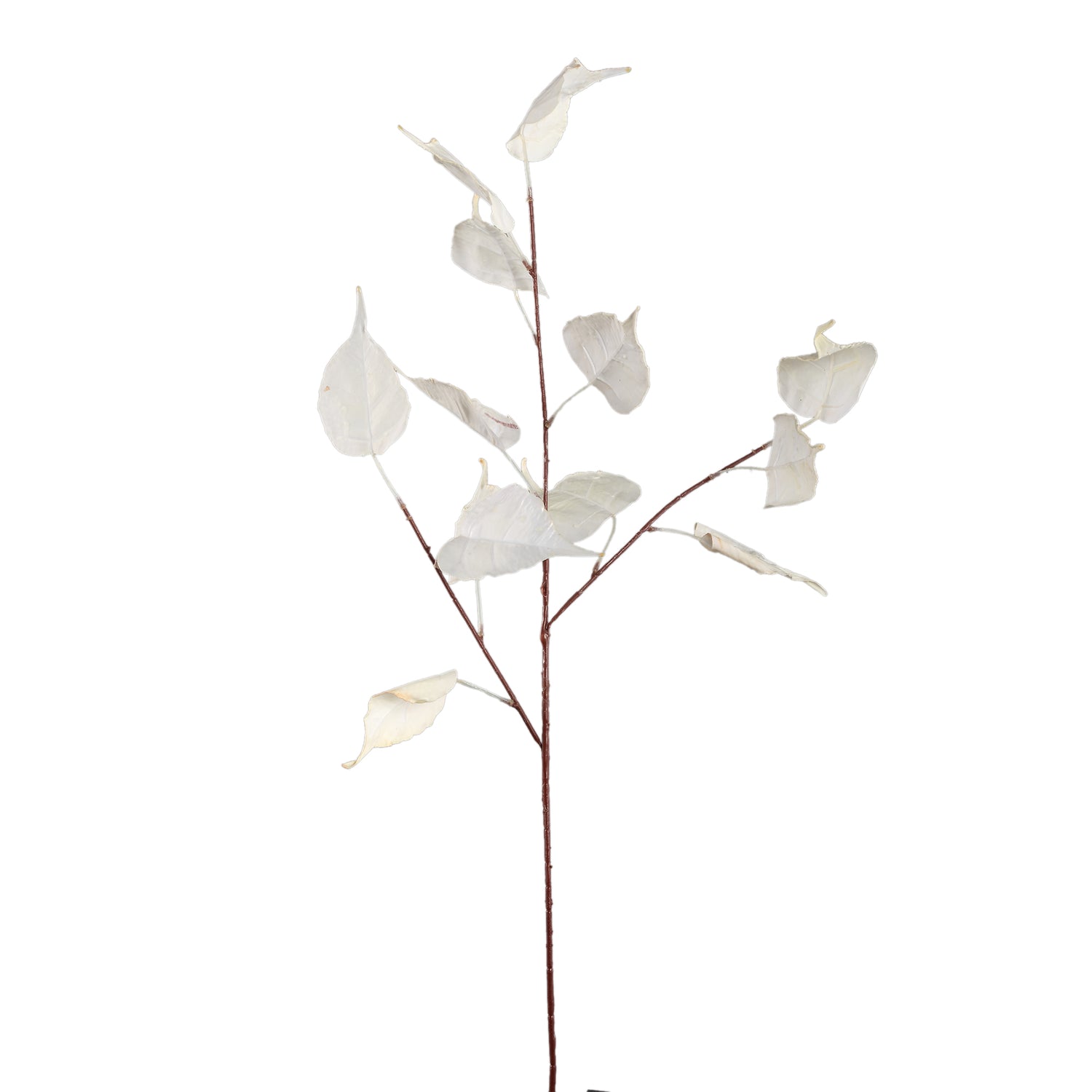 Leaves Plant Crème Populierblad Spray - Set van 12 95x60x50 cm