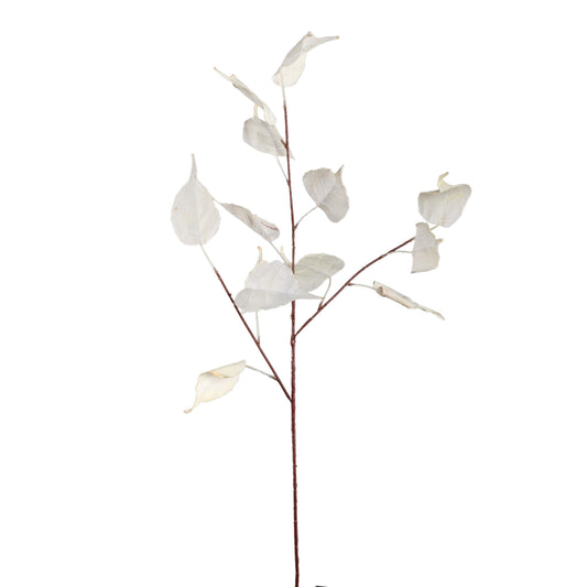 Leaves Plant Crème Populierblad Spray - Set van 12 95x60x50 cm