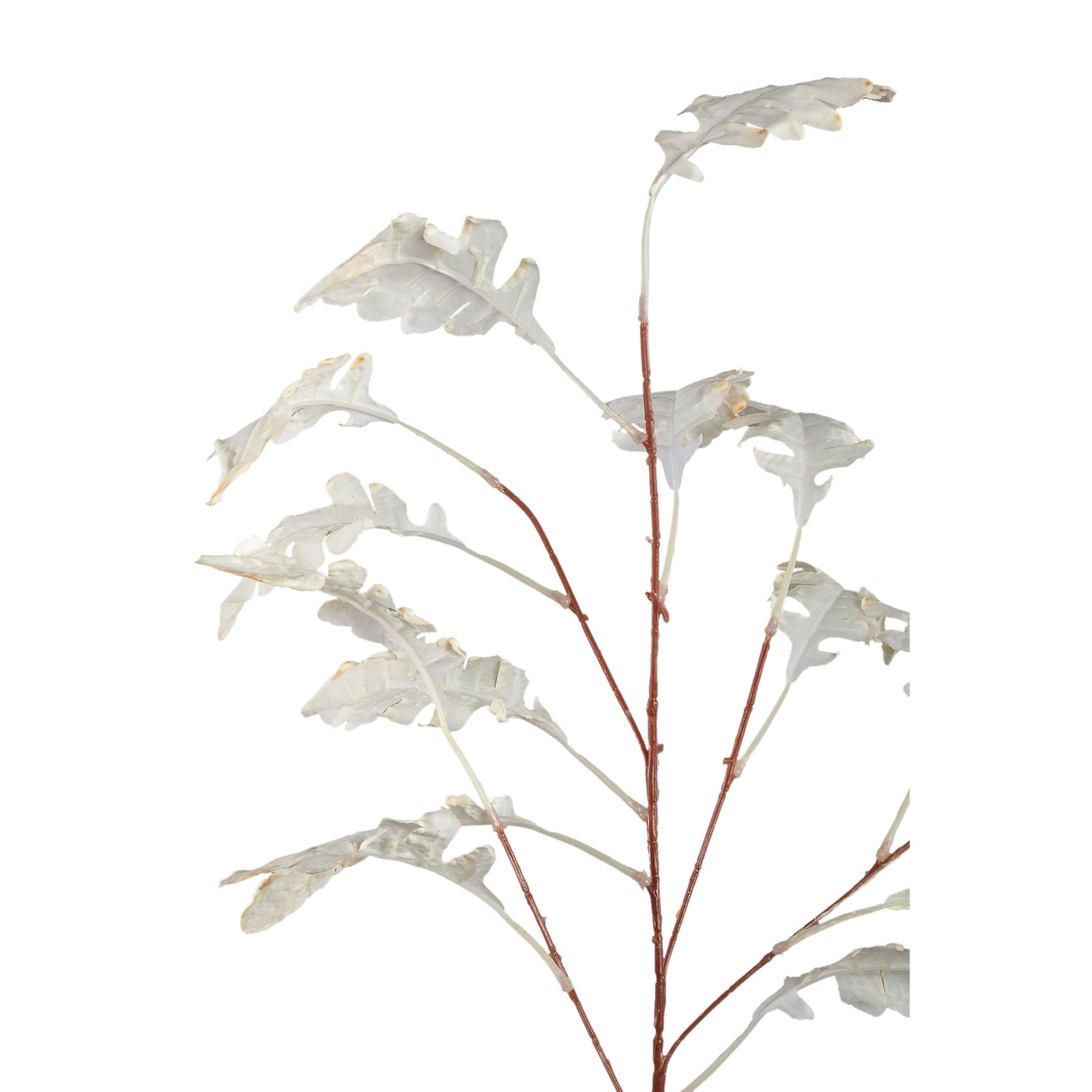 Leaves Plant Crème Chrysanthemumbladeren Spray - Set van 12 95x57x43 cm