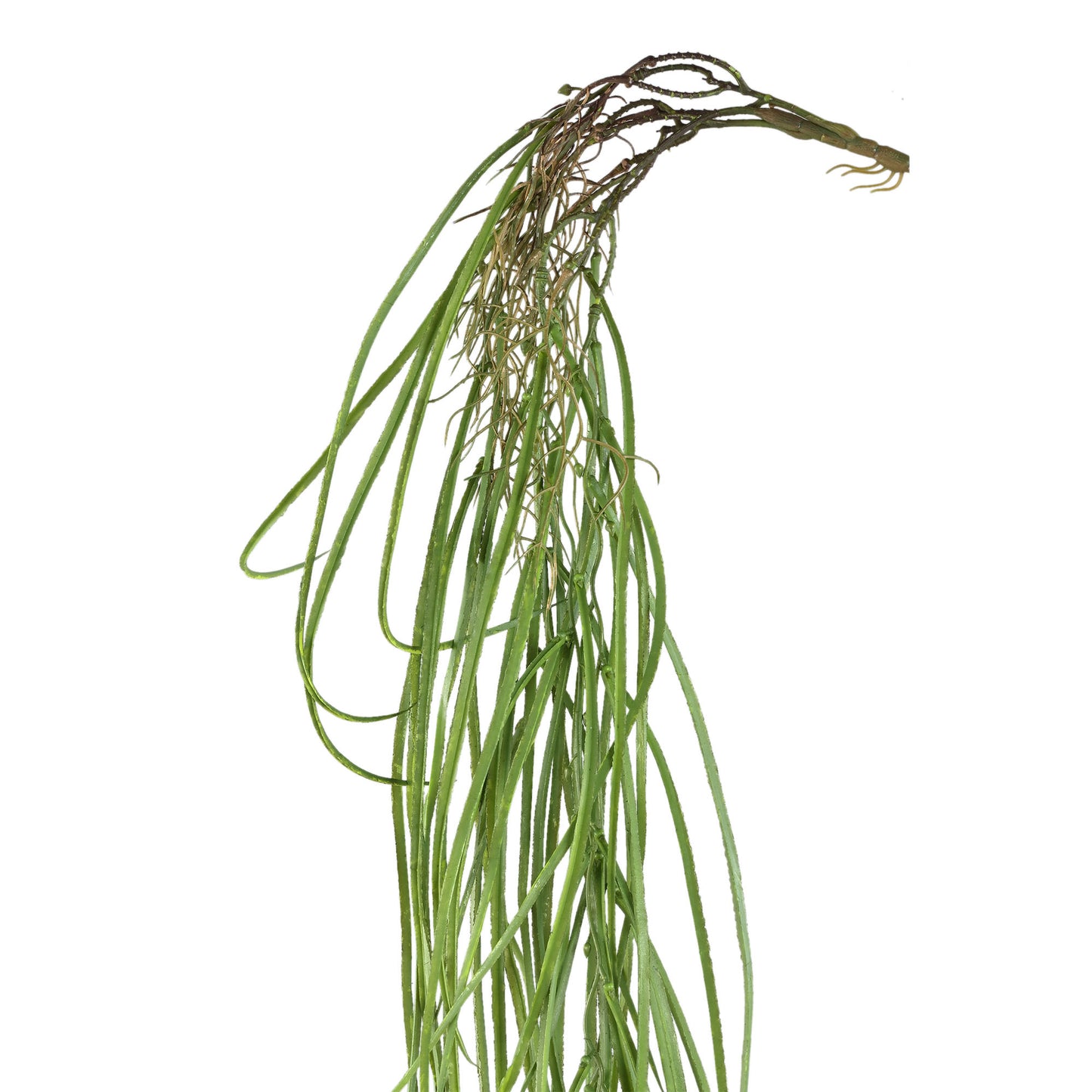 Leaves Plant Groen Hangende Gras - Set van 12 134x116x12 cm