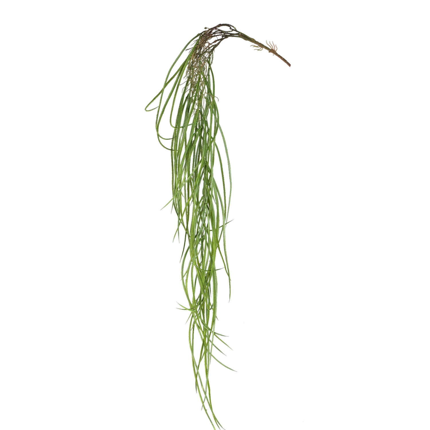 Leaves Plant Groen Hangende Gras - Set van 12 134x116x12 cm