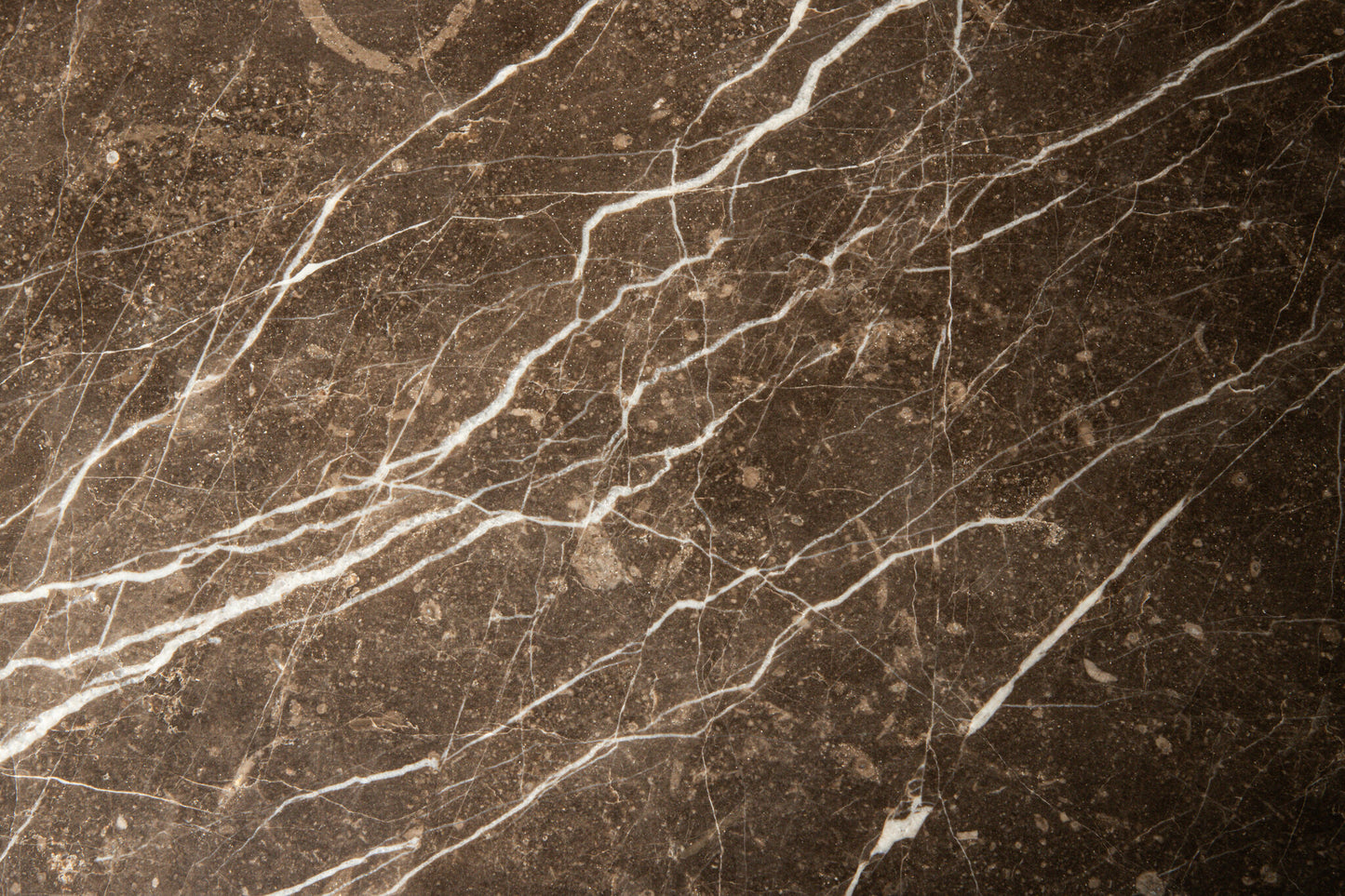 Skippy Coffee Table Brown Marble