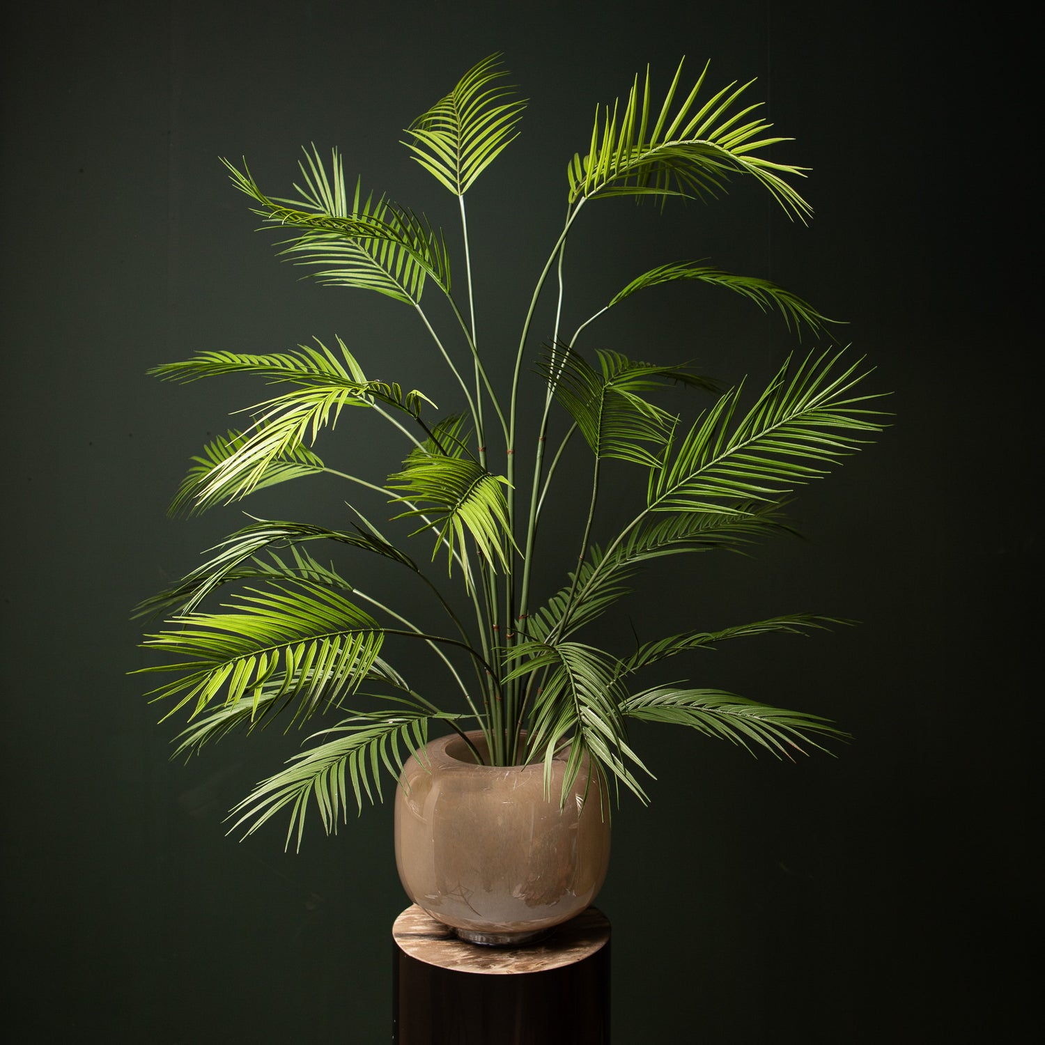 Leaves Plant Groen Palm Struik Groot Set van 6 Stuks 5x135x10 cm