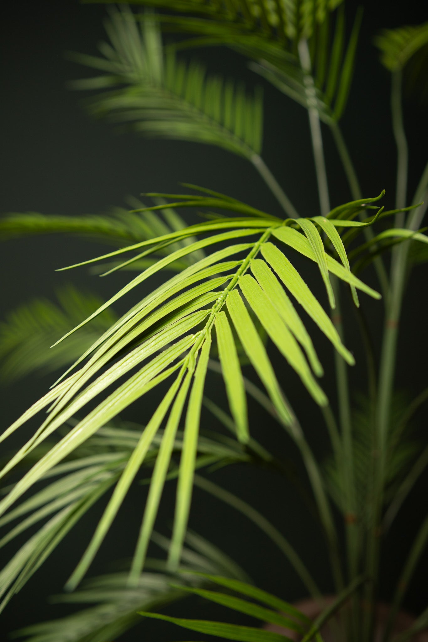 Leaves Plant Groen Palm Struik Groot Set van 6 Stuks 5x135x10 cm