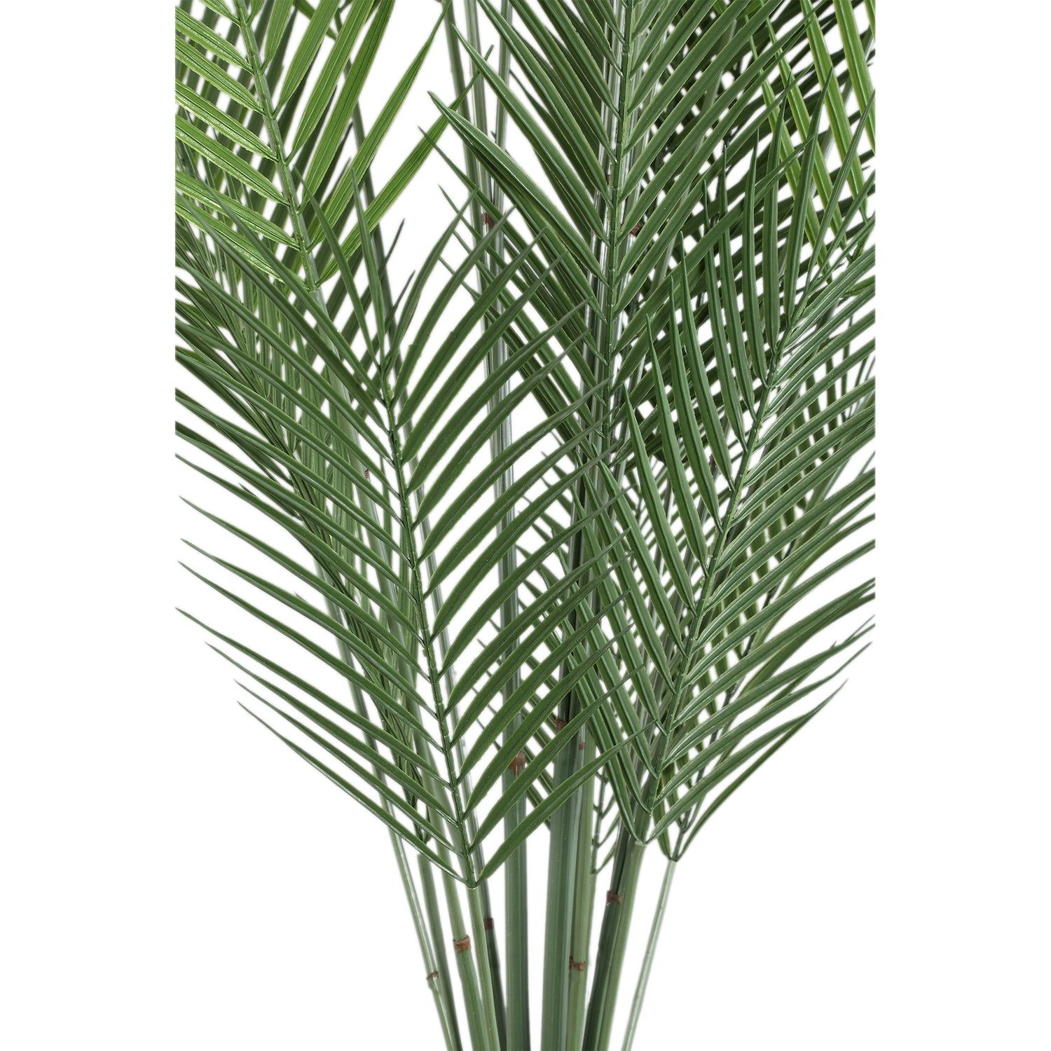 Leaves Plant Groen Palm Struik Groot Set van 6 Stuks - 6 Sets 5x135x10 cm