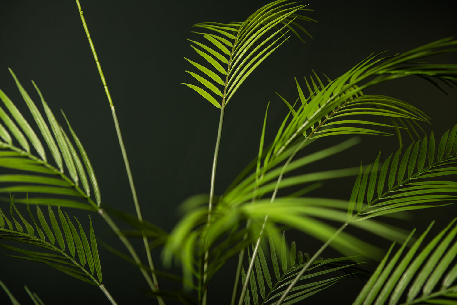 Leaves Plant Groen Palmbladeren Struik Middel - Set van 12 3x95x5 cm