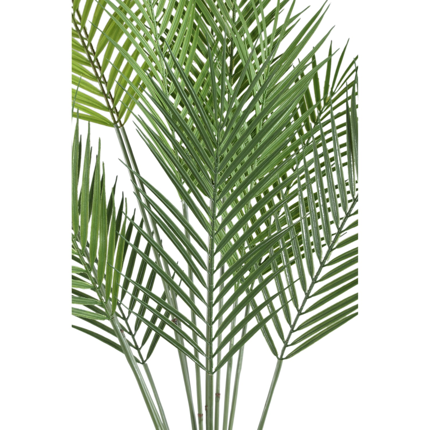 Leaves Plant Groen Palmbladeren Struik Middel - Set van 12 3x95x5 cm