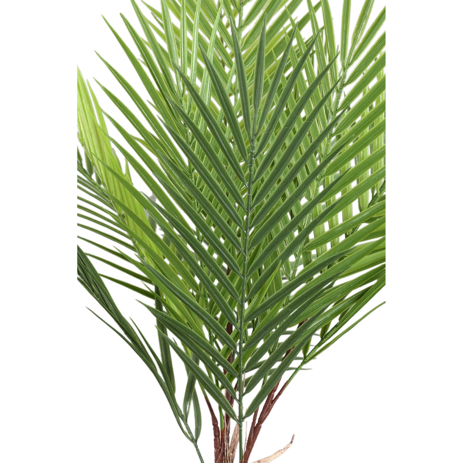 Leaves Plant Groen Palmblad Struik Klein - Set van 12 3x68x5 cm
