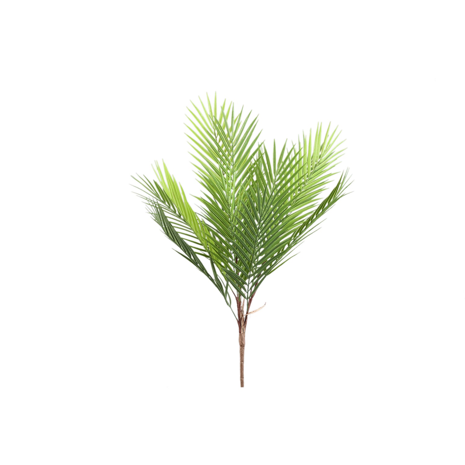 Leaves Plant Groen Palmblad Struik Klein - Set van 12 3x68x5 cm
