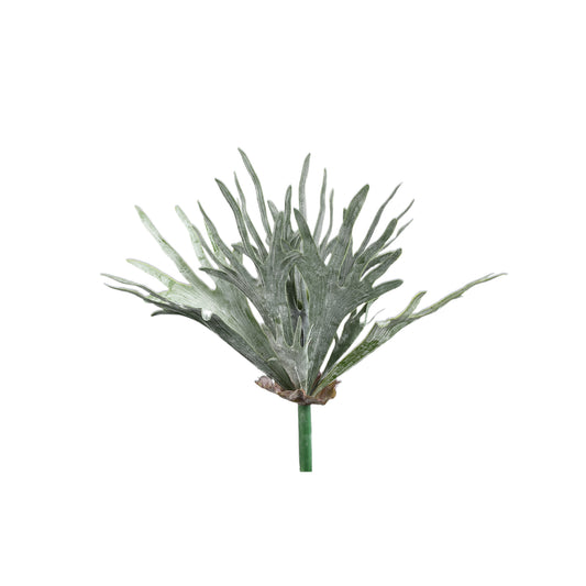Leaves Plant Donkergroen Hertshoornvaren Op Stengel - Set van 12 10x55x15 cm