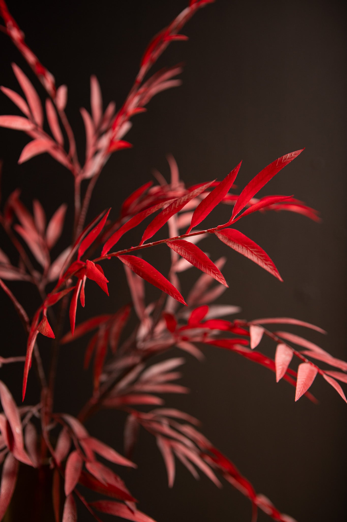 Leaves Plant Rode Myrica Gagel Struik, Set van 12 Stuks 2x107x8 cm