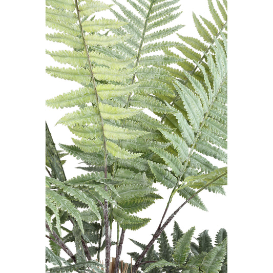 Mos Groen Varen Plant Leaves Plant Klein - Set van 12 8x70x10 cm