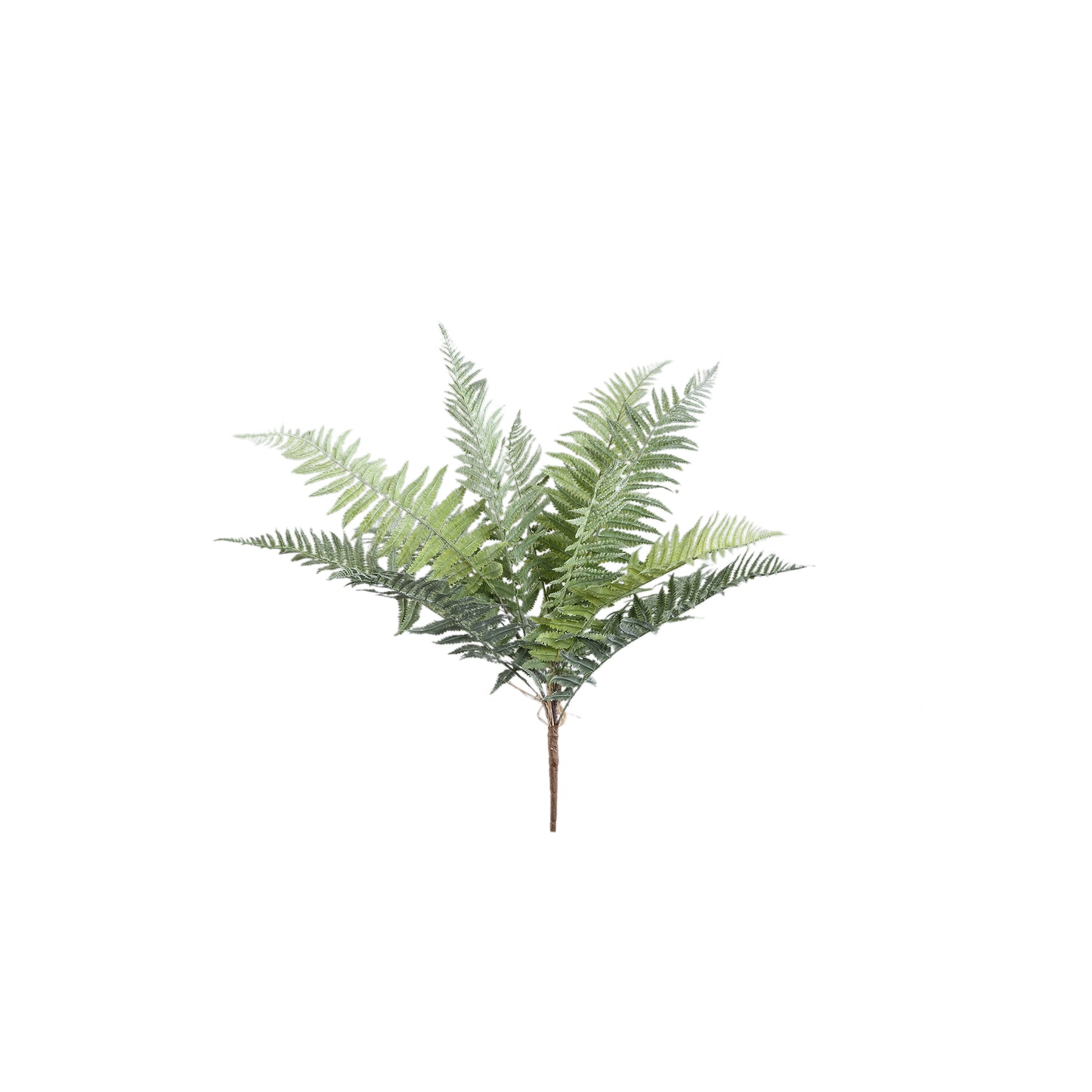 Mos Groen Varen Plant Leaves Plant Klein - Set van 12 8x70x10 cm